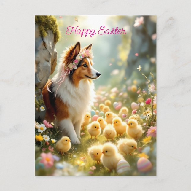 Happy Easter Collie and Chicks Postcard (Front)