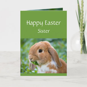 Happy Easter Cute Bunny Special Sister Holiday Card