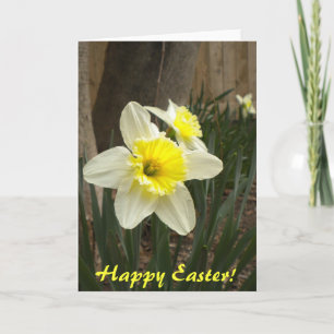 Happy Easter Daffodils Card