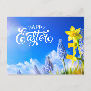 Happy Easter Daffodils, Spring Flower Blue Floral Postcard