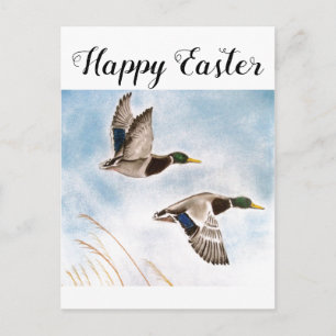 Happy Easter Duck Hunters Postcard