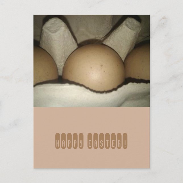 Happy Easter Eggs in Carton Card (Front)