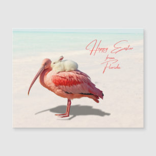 Happy Easter Florida Roseate Spoonbill and Bunny