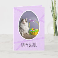 Happy Easter For Anyone Cute Cat With Basket 