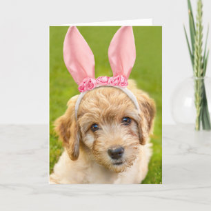 Happy Easter For Anyone Labradoodle Puppy Don in B Holiday Card