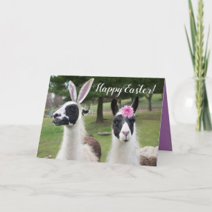 Happy Easter From 2 Easter Llamas Card