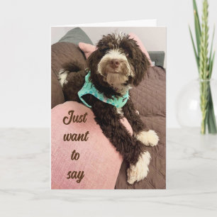 **HAPPY EASTER** FROM ADORABLE BERNEDOODLE HOLIDAY CARD