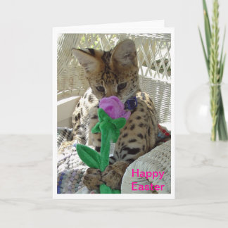 Happy Easter Greeting Card