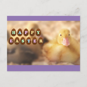 Happy Easter Greetings from Cute Duckling Holiday Postcard