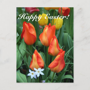 Happy Easter, He is risen! Holiday Postcard