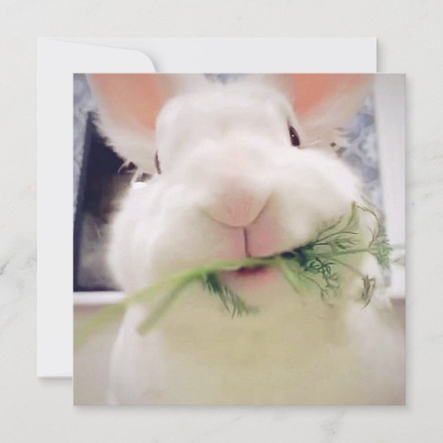 Happy Easter Holiday Card (Front)