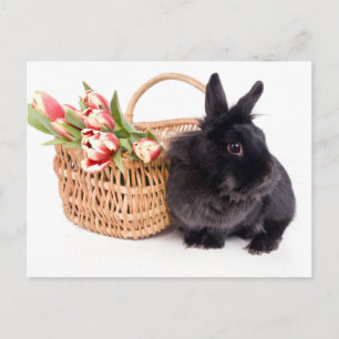 Happy Easter Holiday Postcard