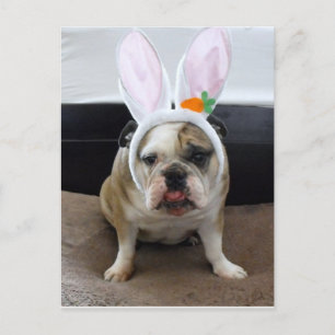 Happy Easter Holiday Postcard