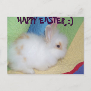 Happy Easter Holiday Postcard