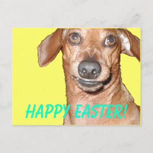 Happy Easter! Holiday Postcard