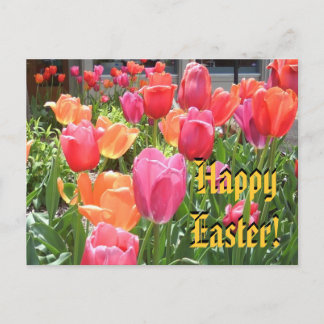 Happy Easter! Holiday Postcard