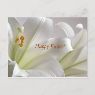 Happy Easter! Holiday Postcard