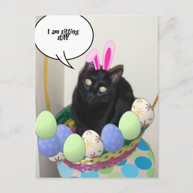 Happy Easter Kitty Holiday Postcard (Front)
