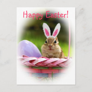 Happy Easter Little Chipmunk Holiday Postcard