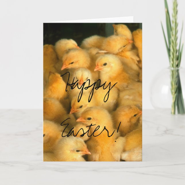 Happy Easter! Lots of Chicks Holiday Card (Front)