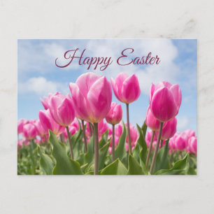Happy Easter Pink Tulip Flowers Postcard