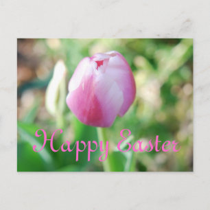 Happy Easter Pink Tulip Holiday Postcard