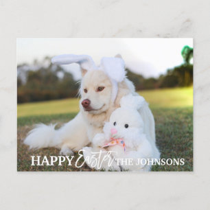 HAPPY EASTER Retriever Dog Puppy Rabbit Ears PHOTO Holiday Postcard
