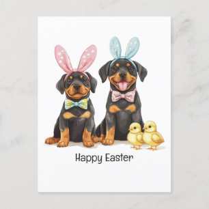 Happy Easter Rottweiler Dogs Bunny Ears Postcard