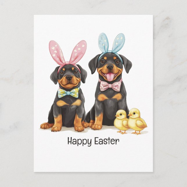 Happy Easter Rottweiler Dogs Bunny Ears Postcard (Front)