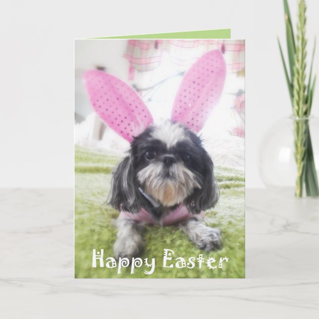 Happy Easter Shitzu Bunny Greeting Card (Front)