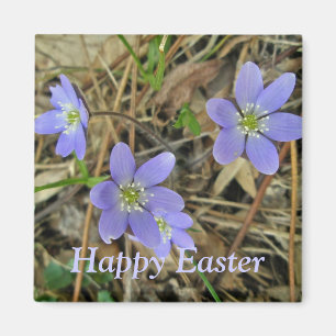 Happy Easter Soft Blue Hepatica Wildflower Magnet