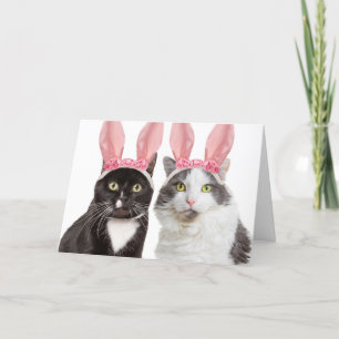 Happy Easter Two Cute Cats in Bunny Ears Humour Holiday Card