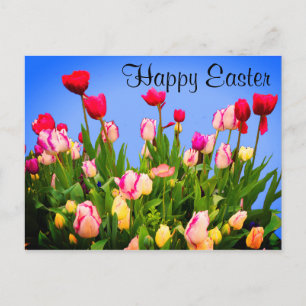 Happy Easter Various Tulips #3 Postcard