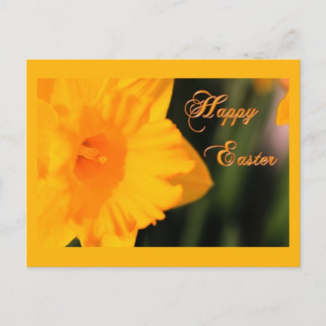 Happy Easter Yellow Spring Daffodil Flower Holiday Postcard (Front)
