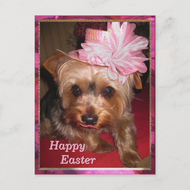 Happy Easter Yorkie Holiday Postcard (Front)