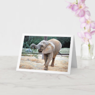 Happy Elephant Card