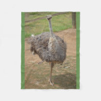 Happy emu standing on one leg blanket