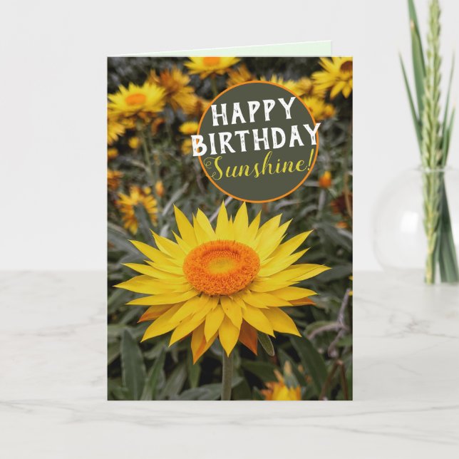 Happy Energy Paper Daisy Flower Happy Birthday Card (Front)