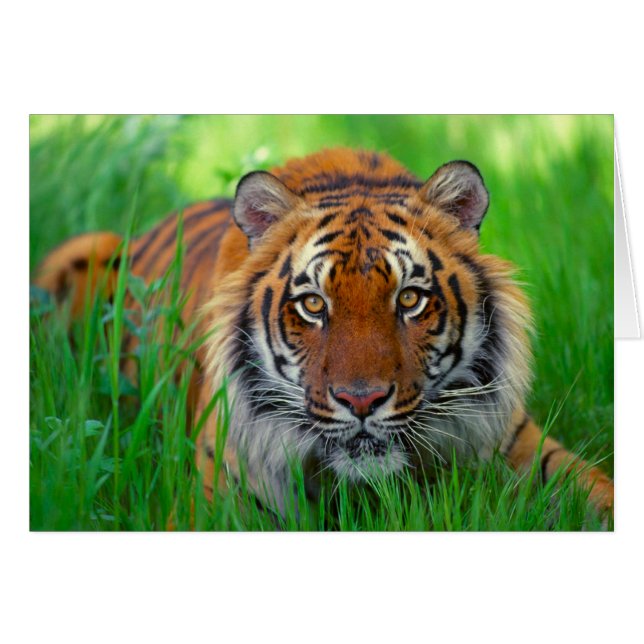 Happy Father's Day (Front Horizontal)