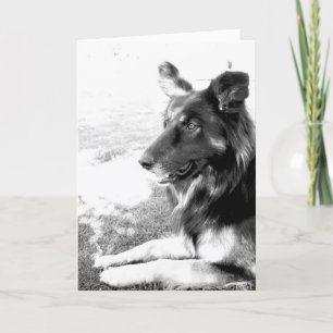 Happy Father's Day Belgian Shepherd Dog Card