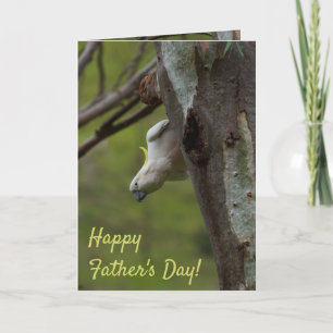 Happy Father's Day Bird Cockatoo Card
