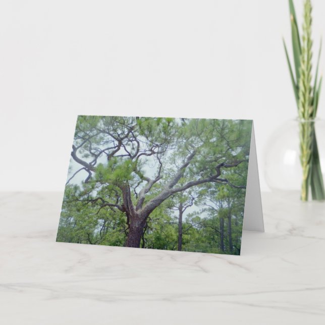 Happy Fathers Day Card (Front)