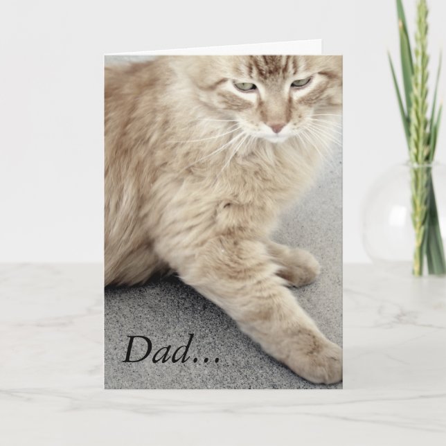 Happy Father's Day Cat Card (Front)