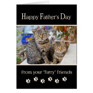 Happy Father's Day from Cats - photo