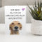 Happy Father's Day From the Dog Cute Funny Card