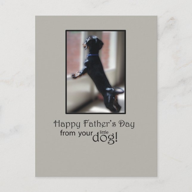 Happy Father's Day From Your Little Dog Postcard (Front)