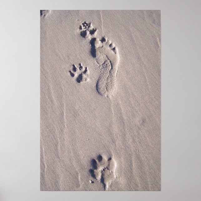 Happy Feet Poster (Front)