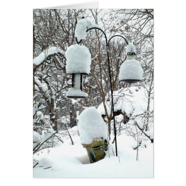 Happy First Day of Spring Wisconsin Humour Card (Front)