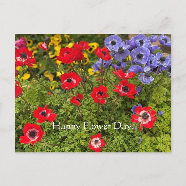 Happy Flower Day! Postcard (Front)