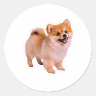 Happy Fluffy Pomeranian Puppy Sticker, Cute Dog Lo Classic Round Sticker